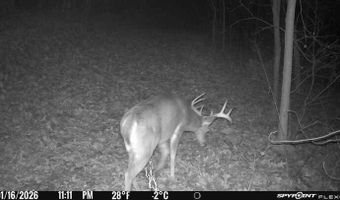 Co Rd K 546, Ava, MO 65608