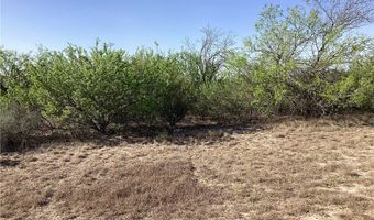 1701 CR 170, Alice, TX 78332
