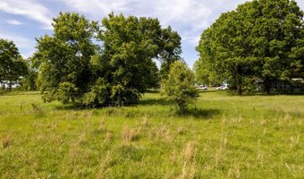 1250 County Road 405, Alton, MO 65606