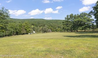 208 Old S Durham Hwy, Acra, NY 12405