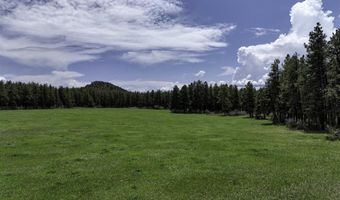 730 County Road 503, Bayfield, CO 81122