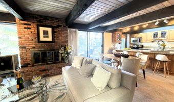 1034 E COOPER Avenue 19, Aspen, CO 81611