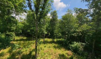 County Road 200, Alton, MO 65606