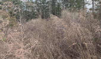 Tuten Road, Aurora, NC 27806