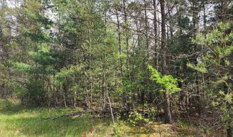 Lot 303 Cypress Drive, Arkdale, WI 54613