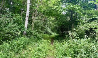 1143 38th St, Allegan, MI 49010