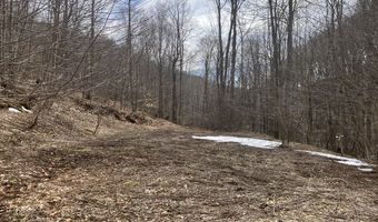 0 TBD Elleber Sods Rd, Bartow, WV 24920