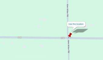 V/L13.25AC Co Rd 612 & Ann Arbor Rd, Lewiston, MI 49756