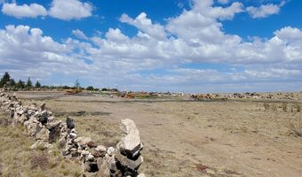 20 County Road 5088, Concho, AZ 85924