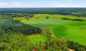 254 TH Ln Lot 19, Alachua, FL 32615