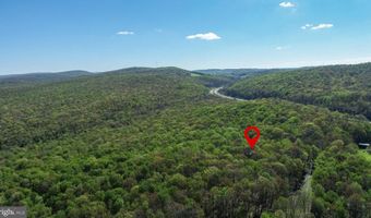 2461 OLD MORGANTOWN Rd E, Accident, MD 21520