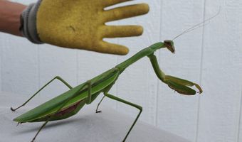 4775 S 50th Rd, Aldrich, MO 65601