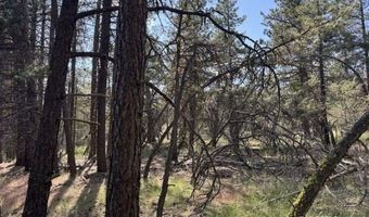 Thunder Bear Road, Bonanza, OR 97623