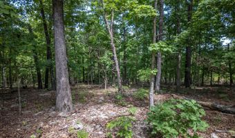 889 County Road 101, Alton, MO 65606