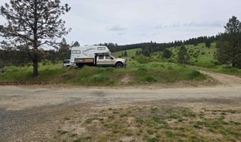 1510 Summitview Driave, Ahsahka, ID 83520