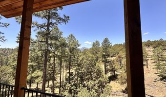 106 Donkey Ct, Alto, NM 88312