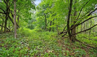 Lt3 County Road N, Arkansaw, WI 54721