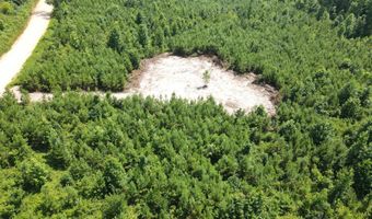 Tract 2 Tucker Road, Bath Springs, TN 38311