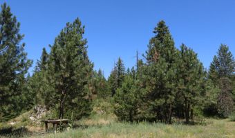 28789 N HIGHWAY 95, Athol, ID 83801