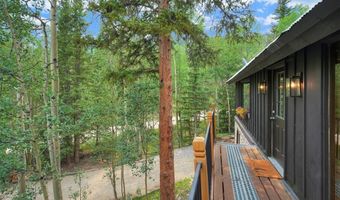 227 Roberts Rd, Alma, CO 80420