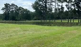 944 Salem Rd, Abbeville, GA 31001