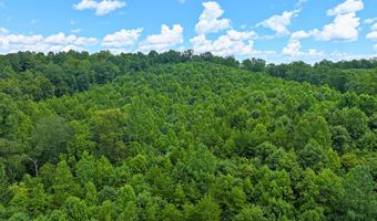 Airport Rd lot 0, Bassett, VA 24055