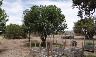 102 S Hackberry Dr, Alpine, TX 79830