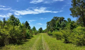 County Road 38, Autaugaville, AL 36003