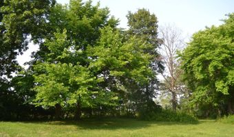 County Road 550 E, Albion, IL 62806