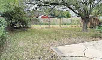 1307 Royal Palm St, Alamo, TX 78516