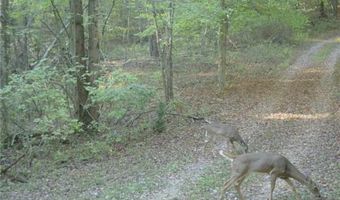 8172 E Ash Rd, Bloomfield, IN 47424