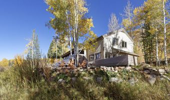 1036 Red Mountain Rd, Aspen, CO 81611