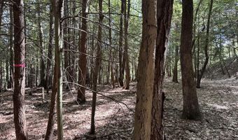 Lot 20 -20.3 Farr Road Lot 20-Lot 20.3 Farr Rd and Lot 11-11-1 Brook St, Chesterfield, NH 03466