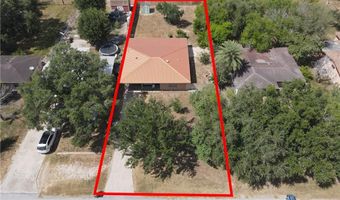 724 E Ellis Ave, Alamo, TX 78516