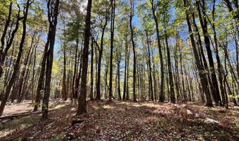 1235 White Hill Rd, Alma, NY 14715