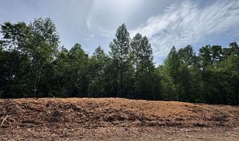 HWY 9, Banner, MS 38913