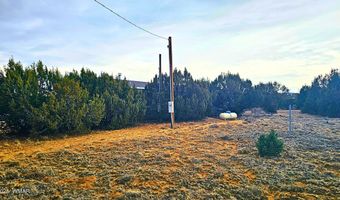 55 N Country Club Dr, Concho, AZ 85924