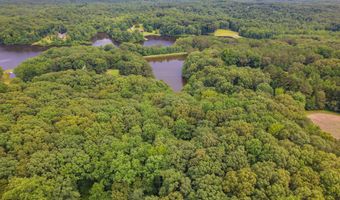 00 Liberty Claybrook Rd, Beech Bluff, TN 38313