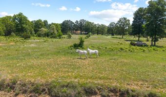 3555 Highway 167, Ash Flat, AR 72513