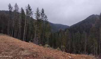 480 Dunn Peak Rd, Avery, ID 83802