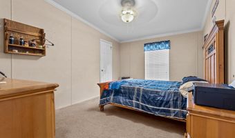 6679 NW 27th Pl, Bell, FL 32619
