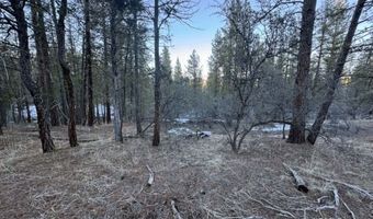 Bobcat Circle, Beatty, OR 97621