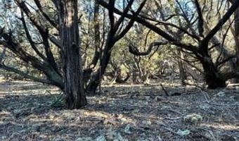 918 Wolf Rd, Ash Fork, AZ 86320