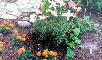 1626 Melvina Ln SW, Alexandria, MN 56308