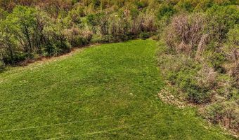 000 Sliffe Ln, Archie, MO 64725