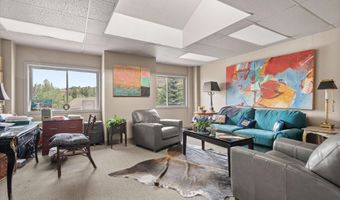 408 Aspen Airport Business Ctr, Aspen, CO 81611