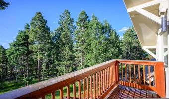 10 Maxwell Way, Angel Fire, NM 87710