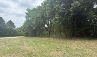 10 County Road 1521, Bay Springs, MS 39422