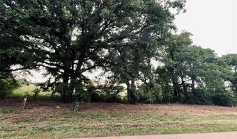 Lot 5 COUNTY ROAD 1560, Alba, TX 75410