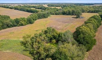 72 Acres S Cameron Rd, Archie, MO 64725